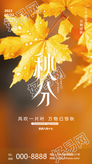 秋分24节气黄色枫叶实景手机海报