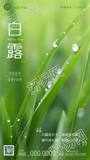 白露节气绿色小草上的水珠实景手机海报