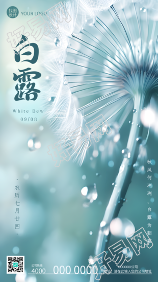 唯美蒲公英白露时节寒生露凝手机海报