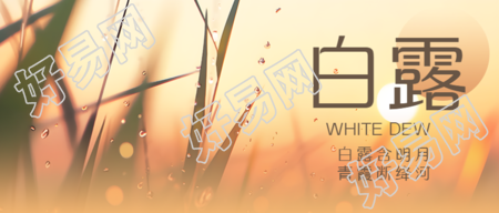 二十四节气白露夕阳小草剪影微信公众号首图
