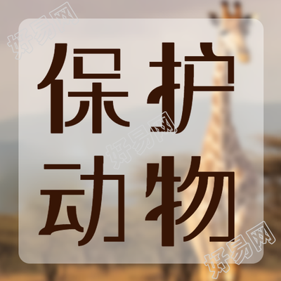 保护动物长颈鹿实景简约微信公众号次图