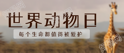 非洲大草原上的长颈鹿世界动物日微信公众号首图