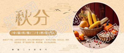 秋分节气丰收的玉米南瓜实景微信公众号首图