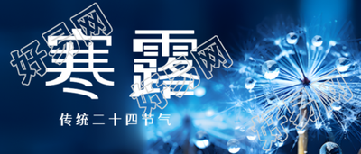 清晨蒲公英上的露珠寒露时节微信公众号首图