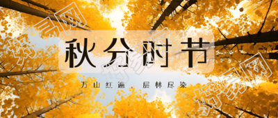 秋日银杏林美景24节气秋分微信公众号首图