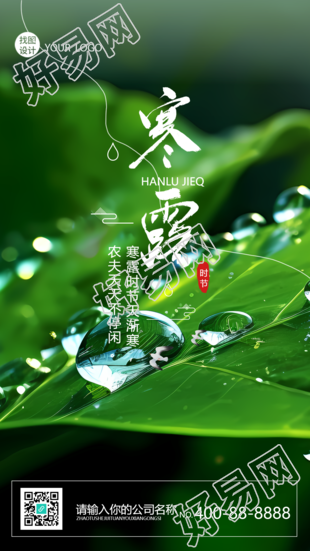 寒露节气绿色叶片上的露珠实景手机海报