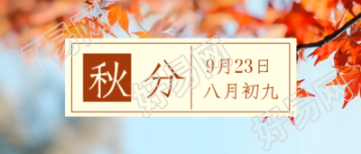 红色枫叶实景秋分时节创意微信公众号首图