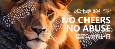 世界动物日对动物表演说不微信公众号首图