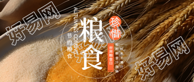 民以食为天世界粮食日宣传微信公众号首图