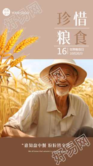 秋季粮食丰收开心的农民粮食纪念日手机海报