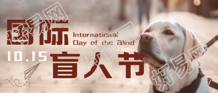 国际盲人节活跃盲人生活微信公众号首图