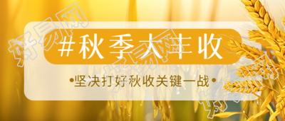 农民秋季大丰收田间美景微信公众号首图