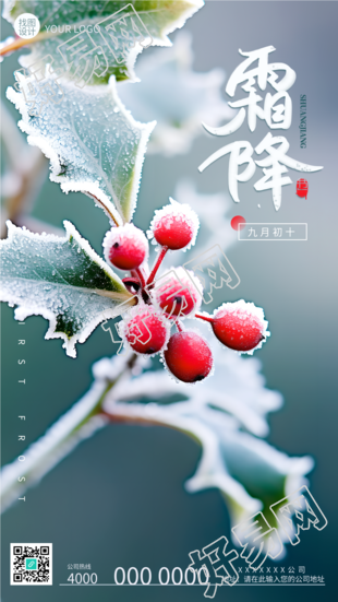 24节气霜降枝头的红色果实手机海报