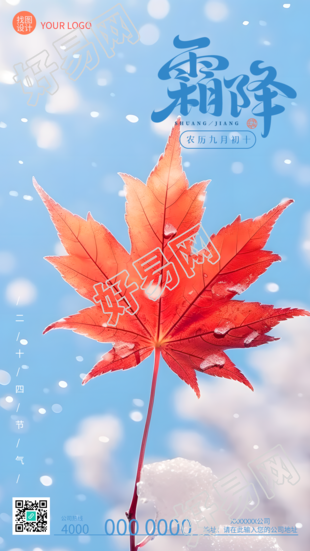 霜降节气雪中的红色枫叶实景手机海报