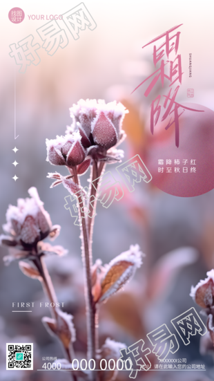 霜降柿子红时至秋日终创意美景手机海报