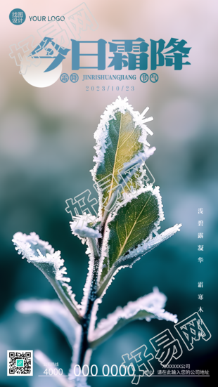 今日霜降深秋清晨的绿植手机海报