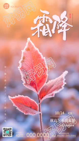 二十四节气霜降红色树叶实景手机海报