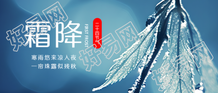 唯美树叶二十四节气霜降微信公众号首图
