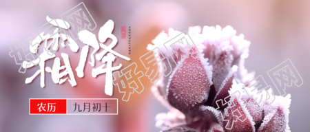 秋季植物美景霜降时节宣传微信公众号首图