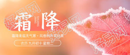 下霜的红色树叶霜降节气微信公众号首图