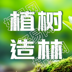 实景创意植树造林公益活动微信公众号次图