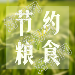 节约每一粒粮食实景简约微信公众号次图