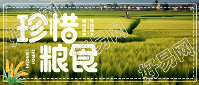 珍惜粮食从如今做起从自身做起微信公众号首图