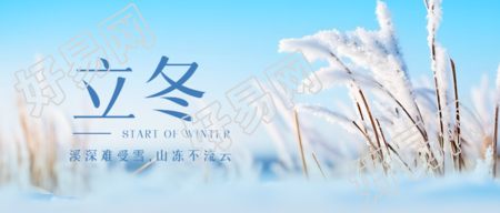 干枯的芦苇景色传统节气立冬微信公众号首图