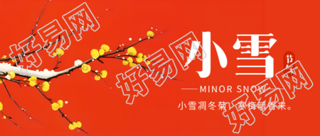 二十四节气小雪卡通风格的满天飞舞的蜡梅微信公众号标题