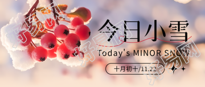 小雪时节红色果实在微信公众号的首图中迷人绽放