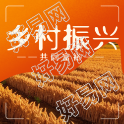 丰收的麦田实景乡村振兴创意微信公众号次图如何推动农村发展