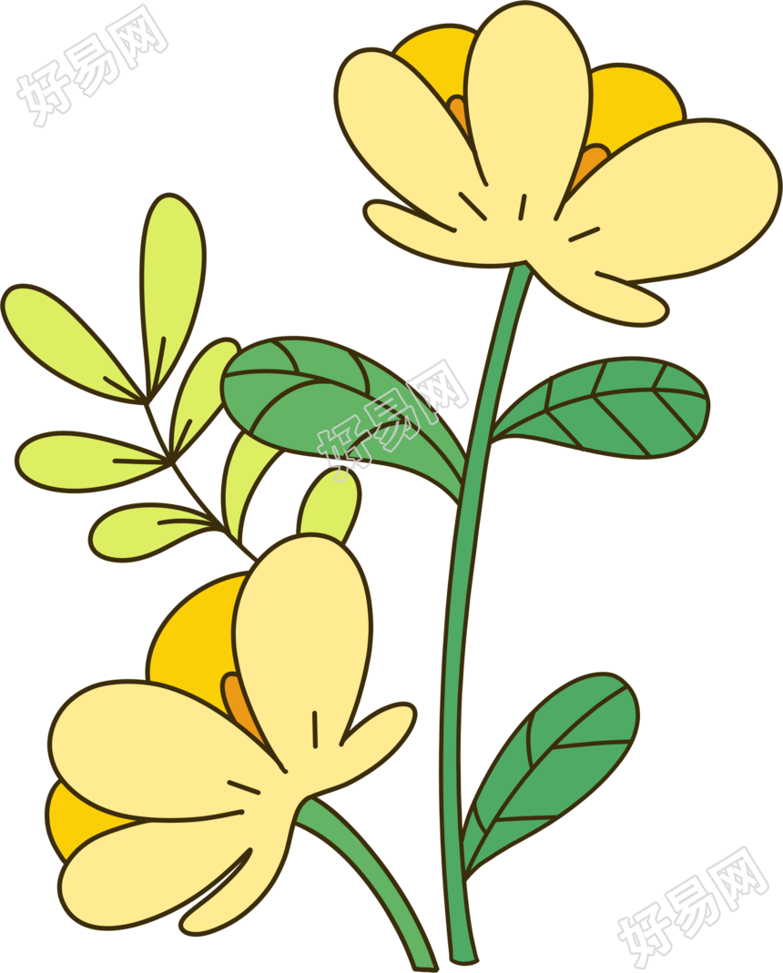 漂亮的小黄花茁壮成长商用插图