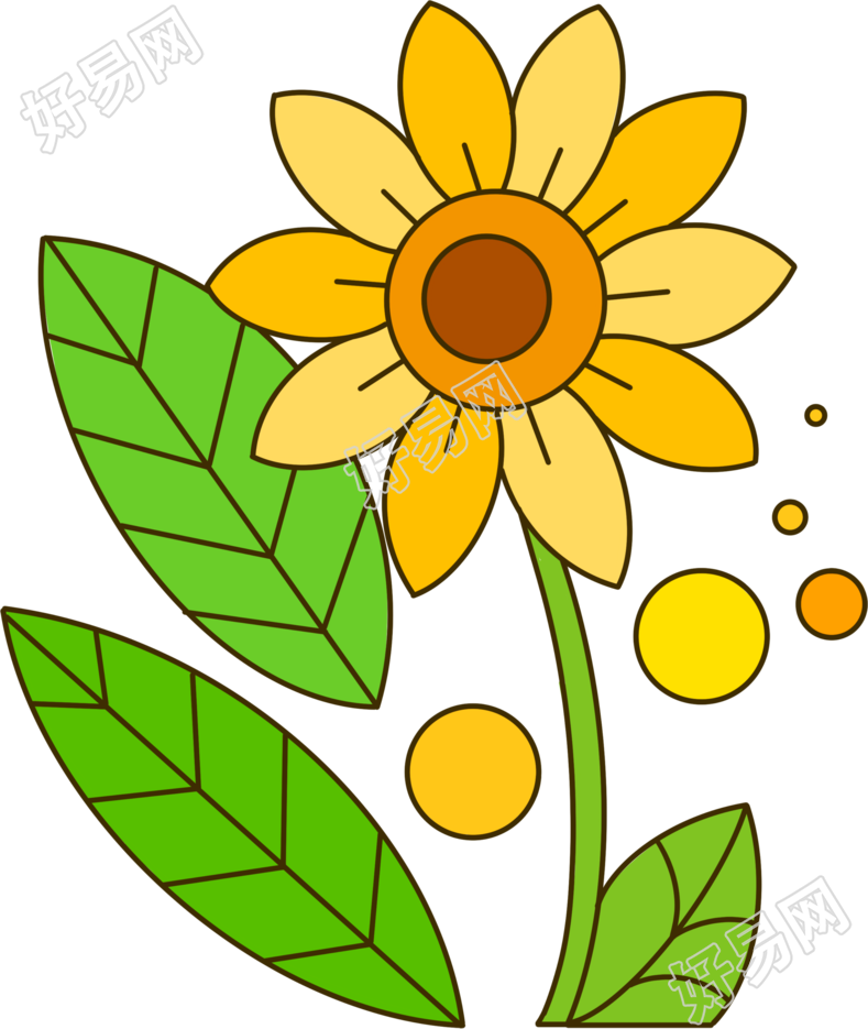 向日葵花粗线条手绘透明背景插图
