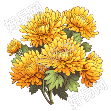 一大束黄色菊花与绿叶的插图