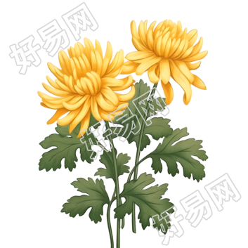 油画风格的黄色菊花素材