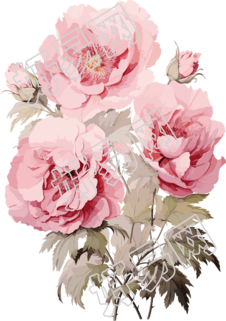 粉色花卉透明PNG图形素材