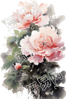 白底芍药绘画艺术素材