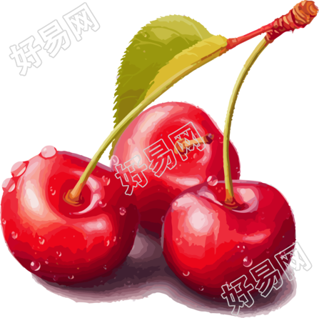 透明背景水彩艺术画中的红樱桃素材