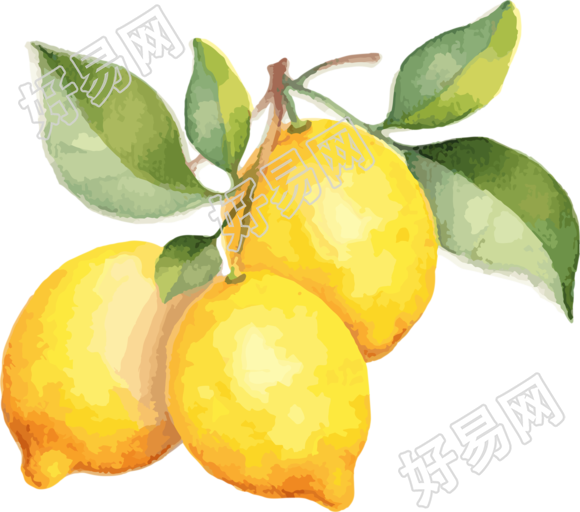 黄色柠檬水彩插画素材