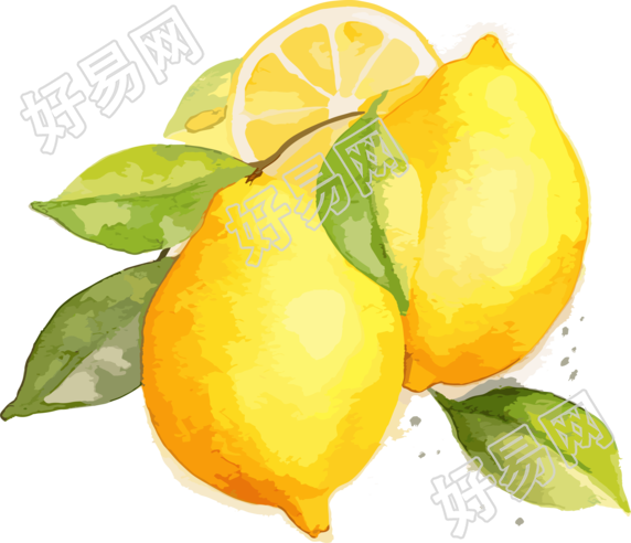 柠檬水彩插画素材