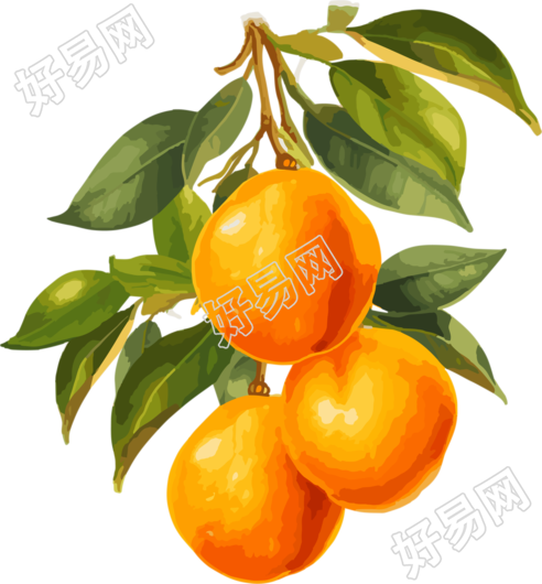 卡通风格黄橙子树枝PNG素材