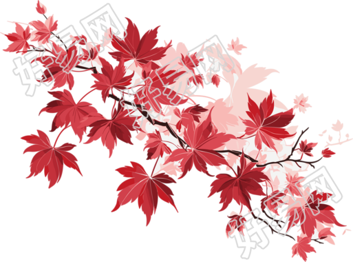 枫叶红创意设计元素