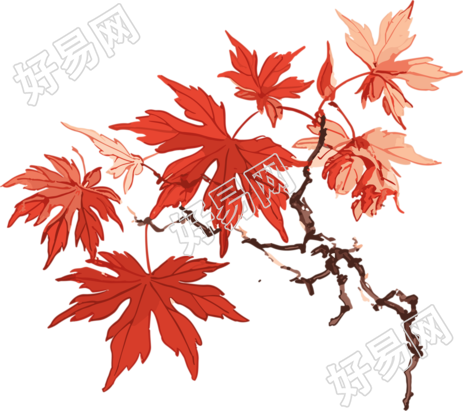 秋意红枫叶创意设计素材