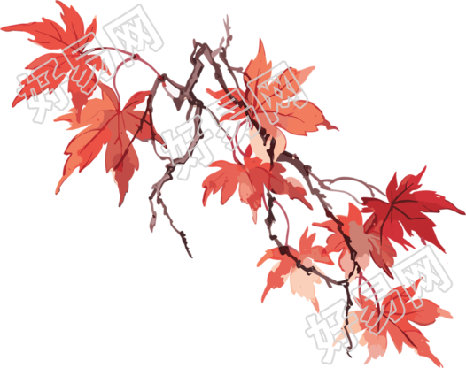 秋意盎然枫叶红景插画设计