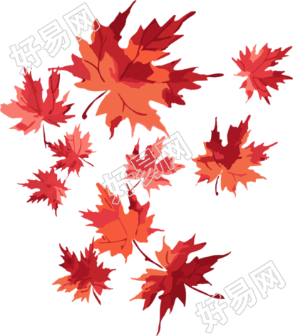 透明背景红枫叶插画素材