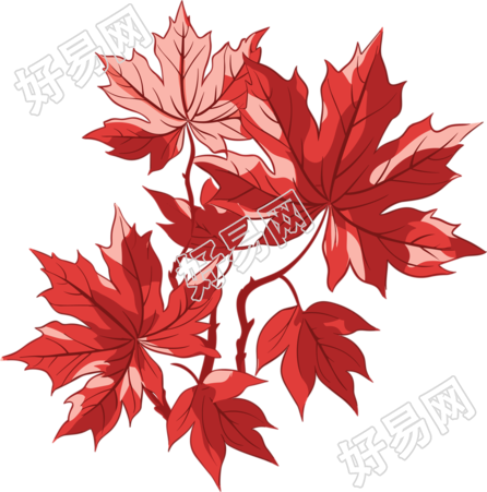 红枫叶秋天风景插画设计元素