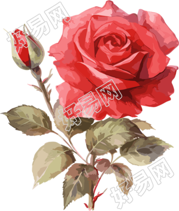 创意设计玫瑰高质量插画素材