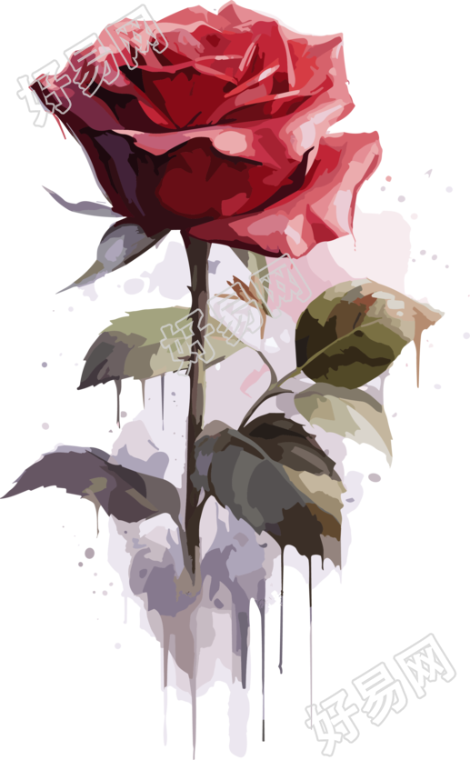 透明背景精美玫瑰插图