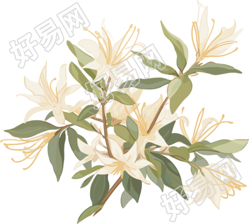 极简清新白花高清插画素材
