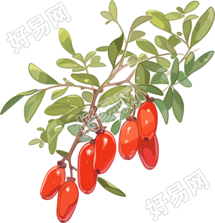 红色鲜艳枸杞创意设计商业可用插画元素